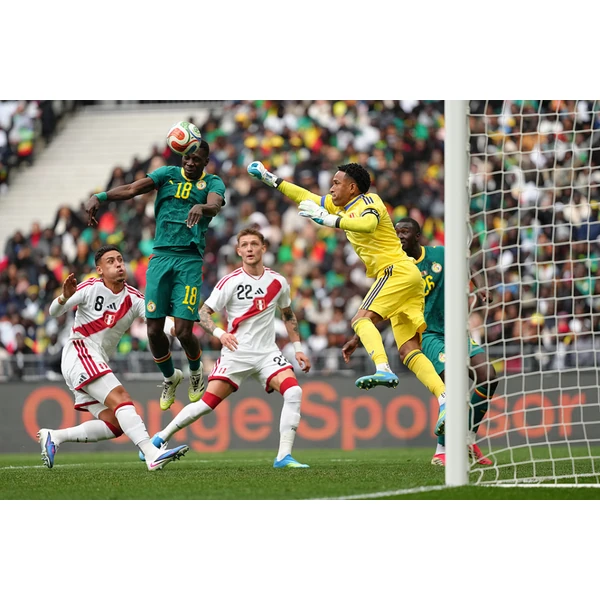 开云app下载中心 APP